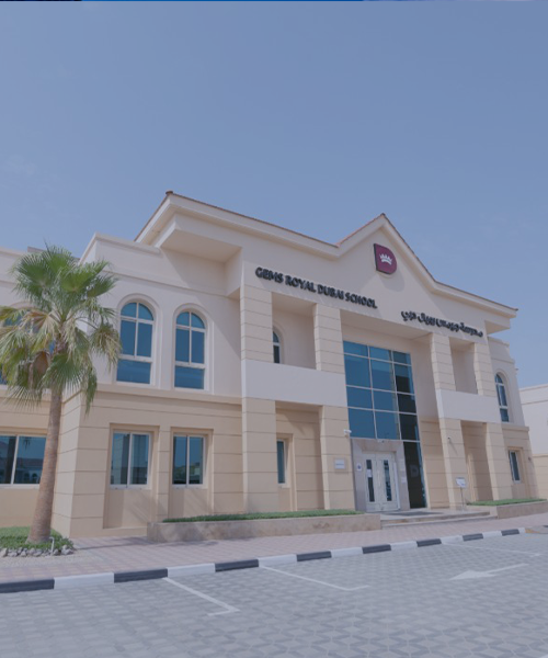 Schools and Universities